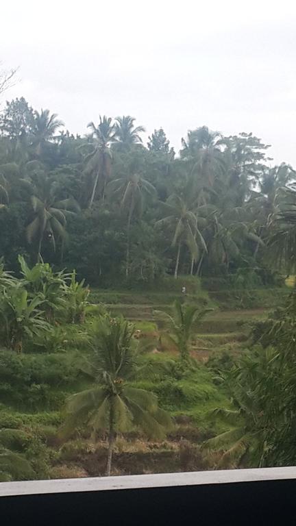 Villa Wedang Tegallalang  Exterior foto